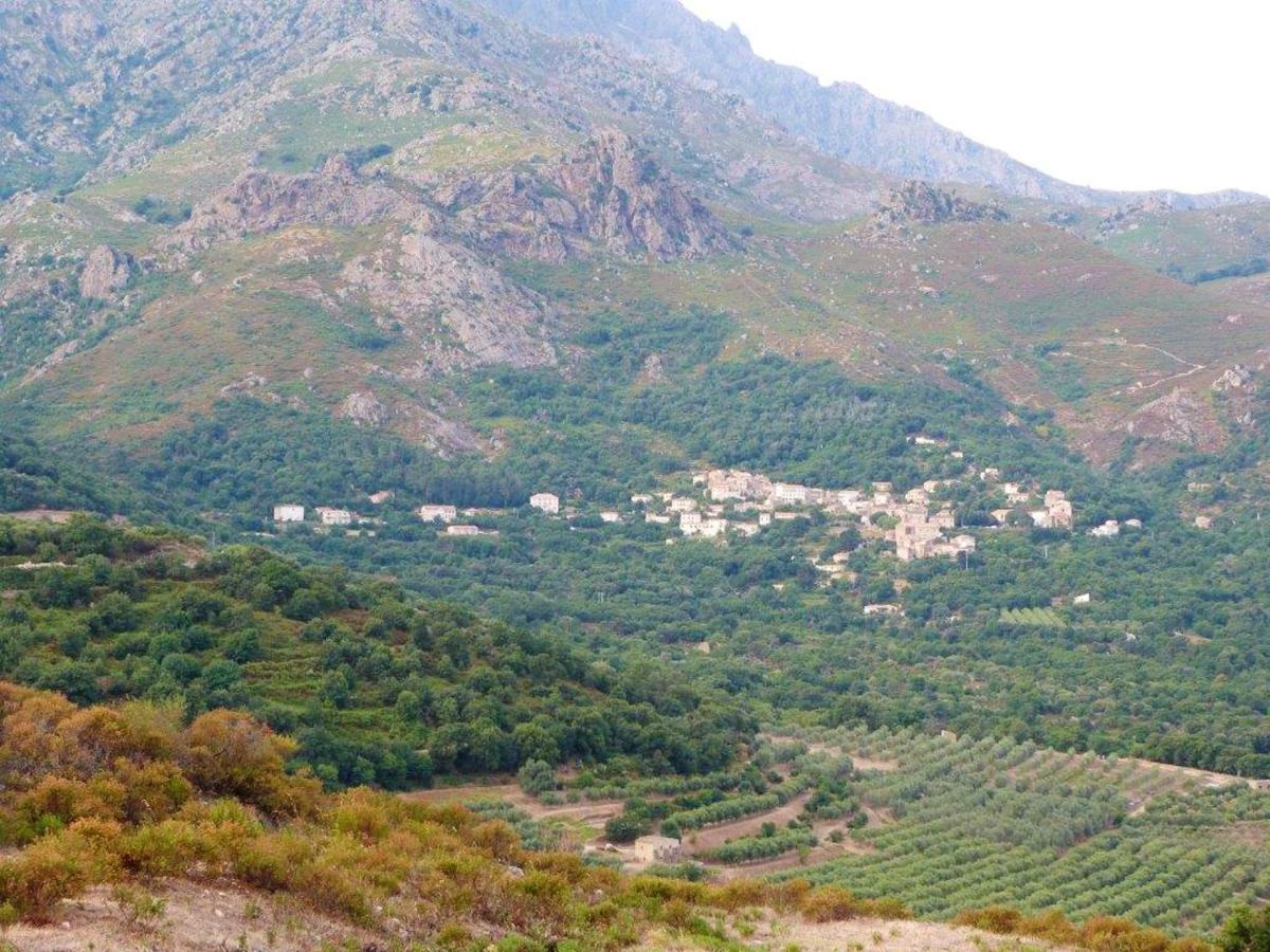 Appartement Raffine A Feliceto 120 M² Avec Vue Sur Montagne المظهر الخارجي الصورة